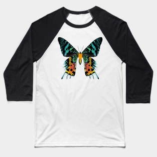 Madagascan Sunset Moth Illustration Baseball T-Shirt